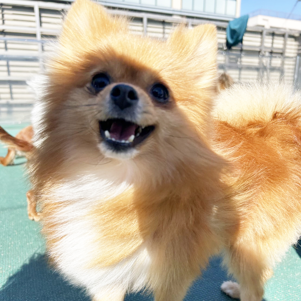 生徒が撮影した写真を送ってくれました②